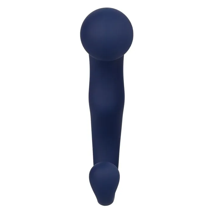 Anal CalExotics Viceroy Agility Probe