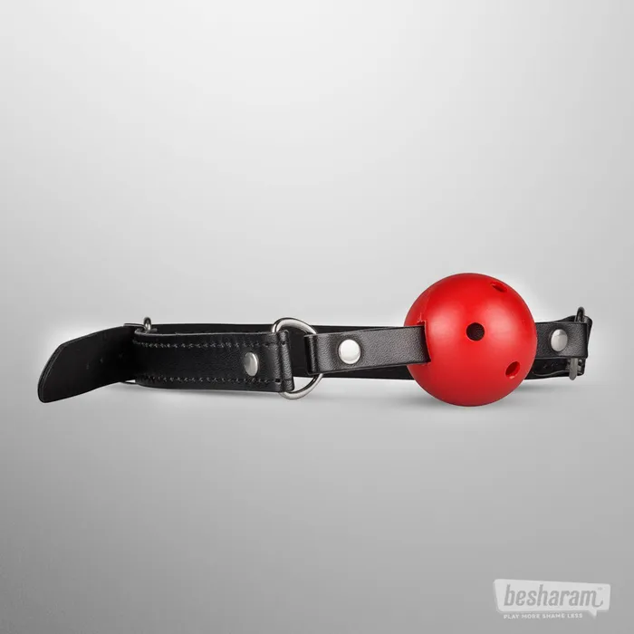 Anal Secret Pleasure Chest Secret Pleasure Chest Red Dragon BDSM Set